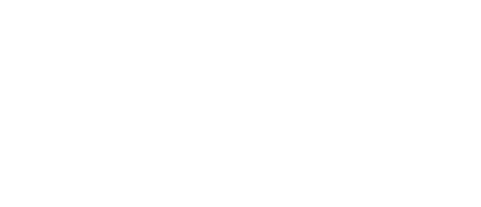brommarecords.live Logotyp